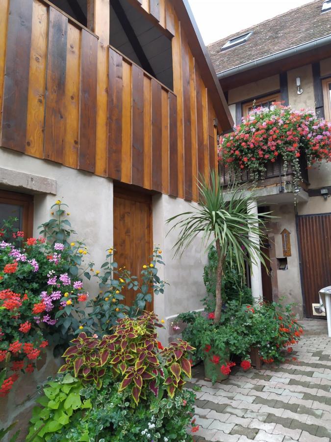 Duplex Chez Sandra Ottrott